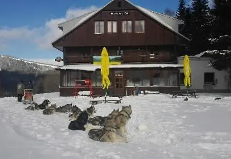 Horalka Гостьовий будинок Шпіндлерув-Млин